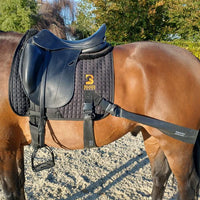 Dressage Equine Band System