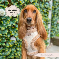 QUILTED ADJUSTABLE NECK HARNESS, LEAD & COLLAR BUNDLE