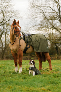 Hunter green matching horse and dog waterproof rug