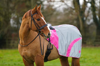 Pink hi vis reflected waterproof exercise sheet rug