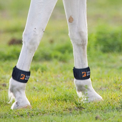 Magnetic Therapy Pastern Wraps by Equine Balance