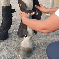 Magnetic Therapy Boots for Horses