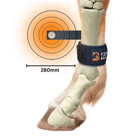 Magnetic Therapy Pastern Wraps by Equine Balance