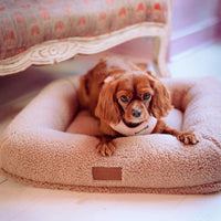 Cocopup x pup kit dog bed