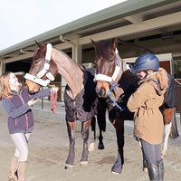 Magnetic Therapy Boots for Horses