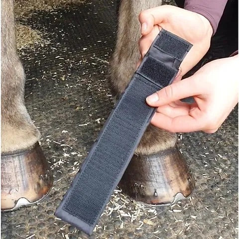 Magnetic Therapy Pastern Wraps by Equine Balance