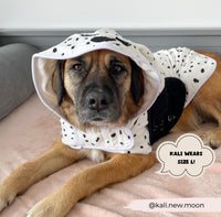 Dalmatian drying robe