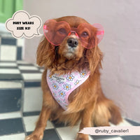 Daisy gingham adjustable neck harness