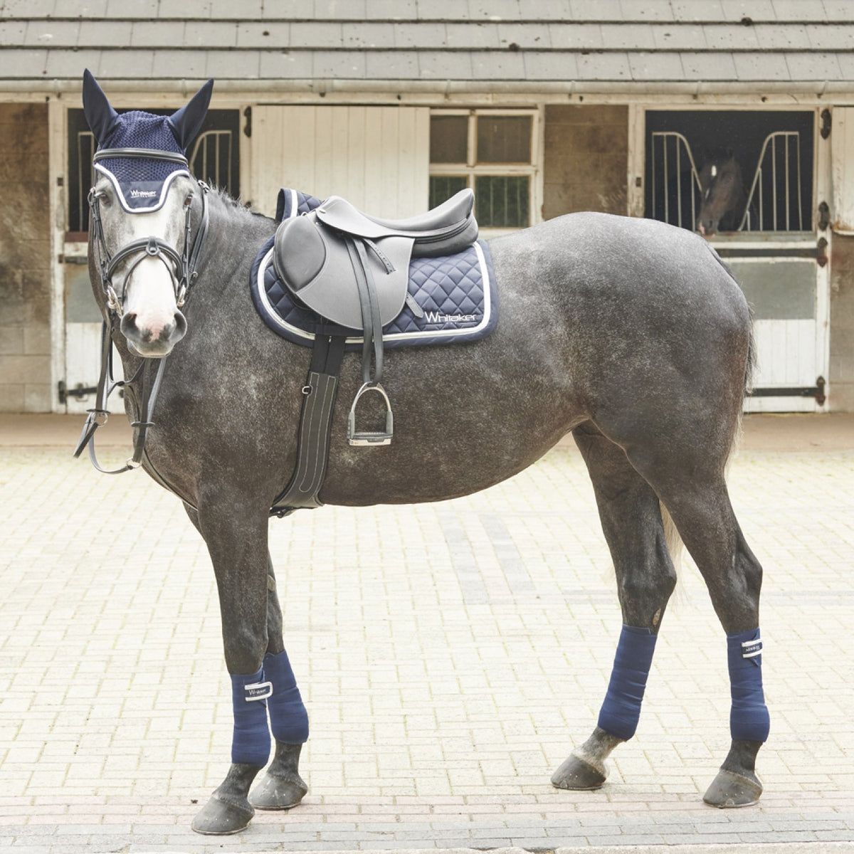 Argento Showjumping Saddle