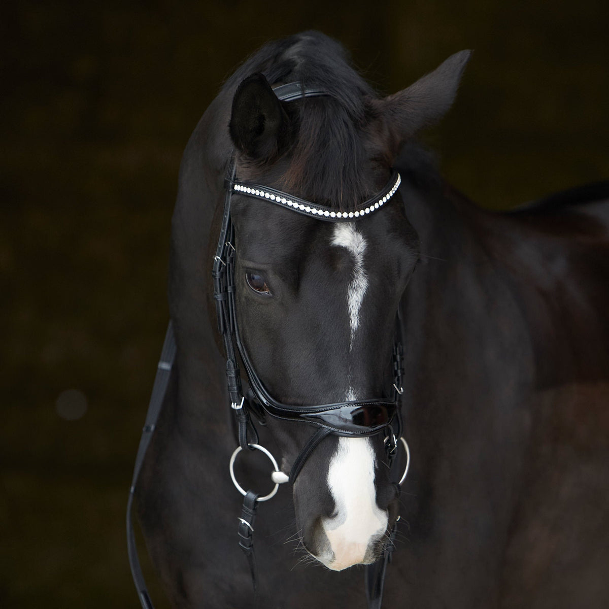 Kieffer Ultrasoft® Bridle - Amy Shine