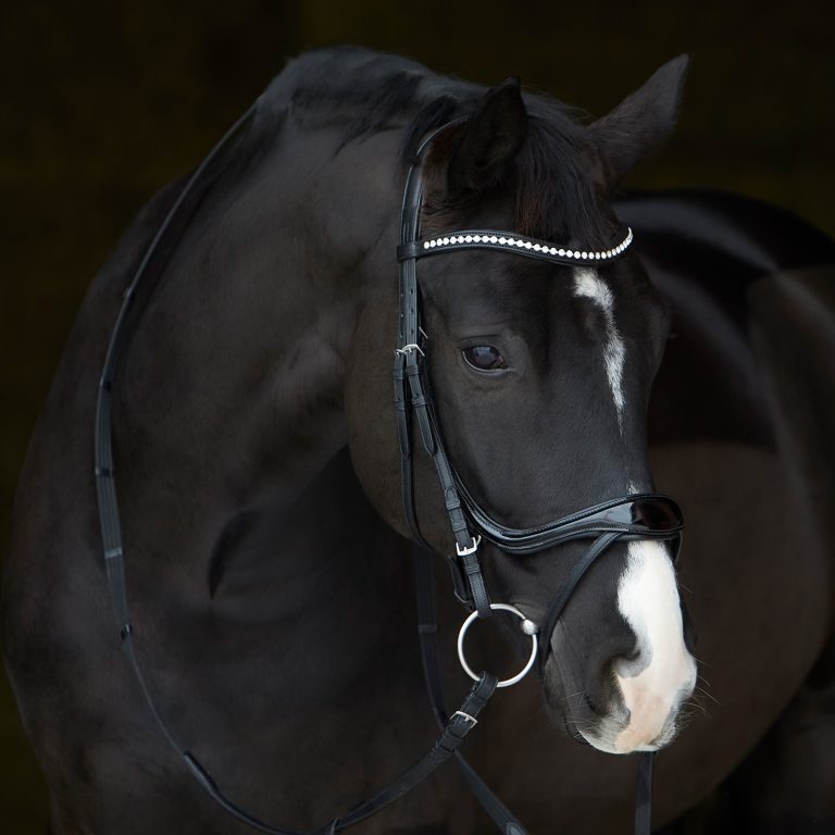 Kieffer Ultrasoft® Bridle - Amy Shine