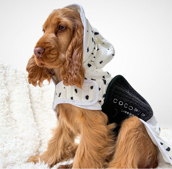 Dalmatian drying robe