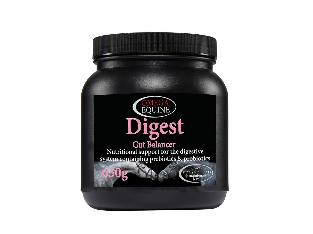 Omega digest gut balancer