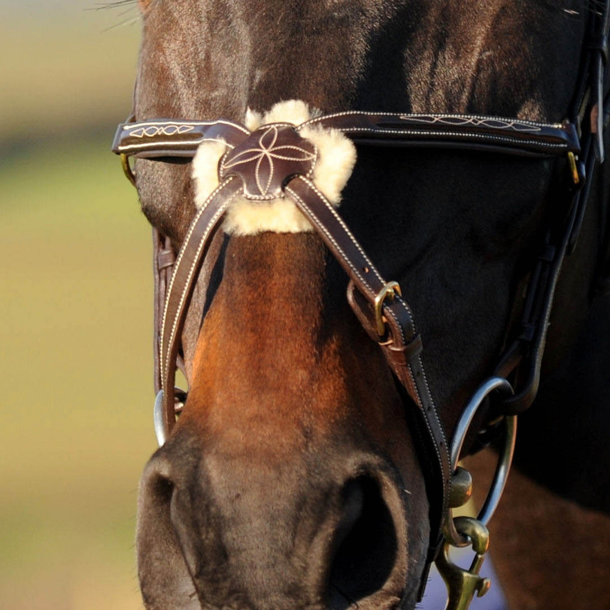 Valencia Super Deluxe Mexican Bridle with Reins