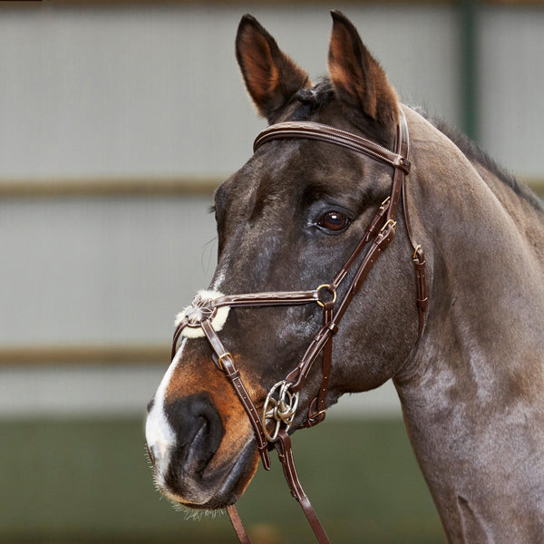 Valencia Super Deluxe Mexican Bridle with Reins