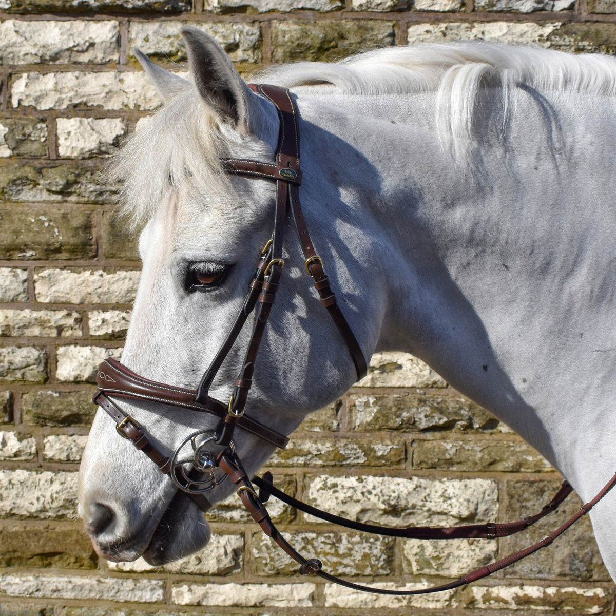 Venice Bridle with Reins