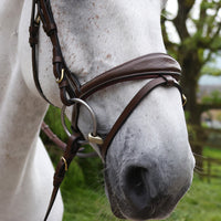 Venice Bridle with Reins