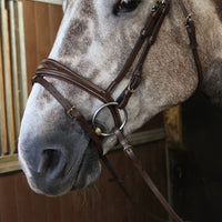 Venice Bridle with Reins