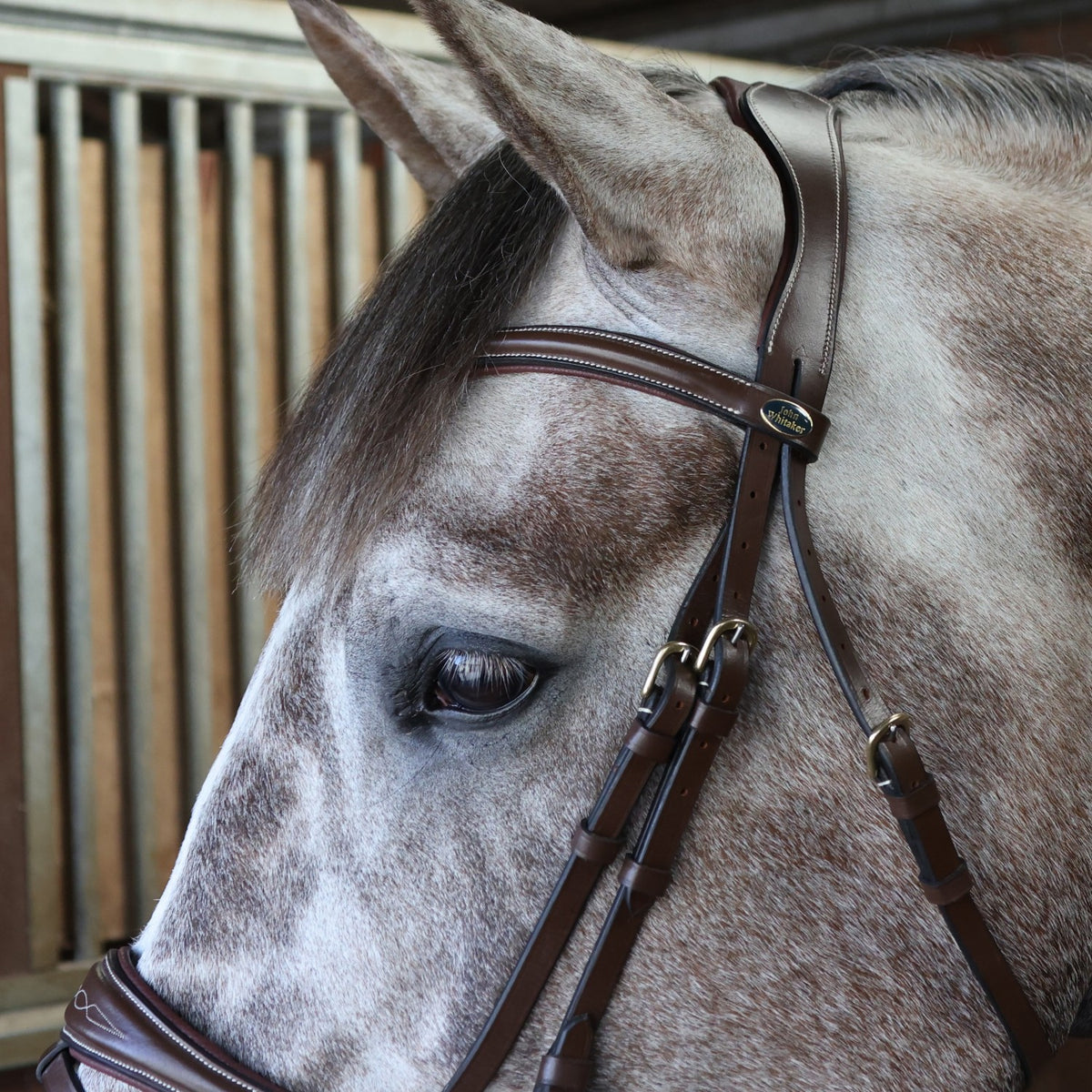 Venice Bridle with Reins