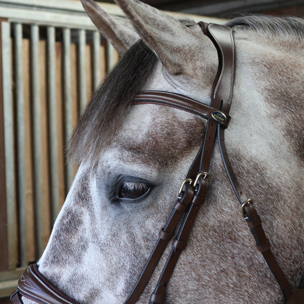 Venice Bridle with Reins