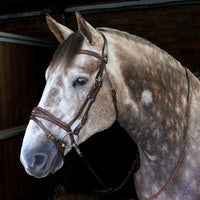 Venice Bridle with Reins