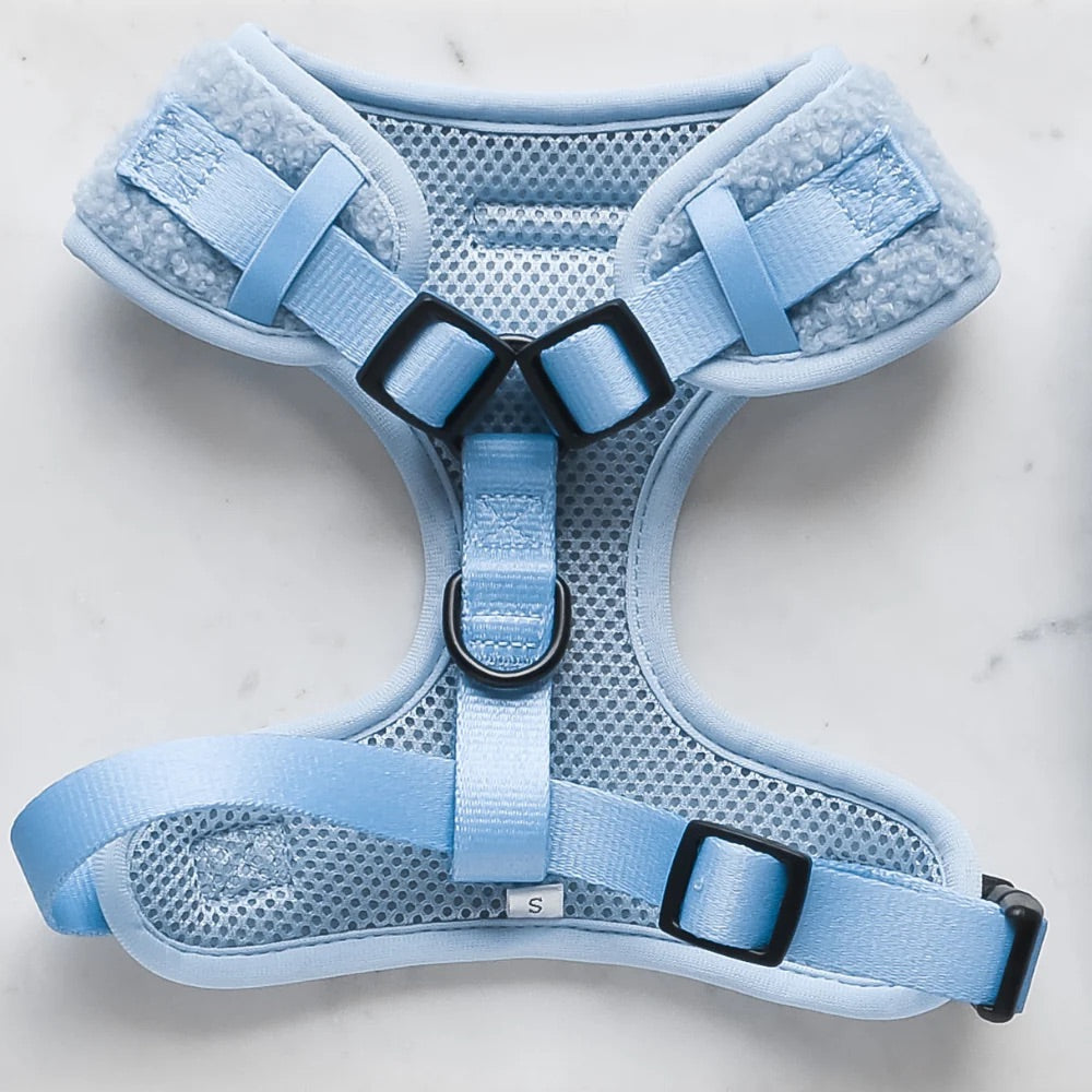 TEDDY ADJUSTABLE NECK HARNESS - DAYDREAM