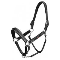 Chicago Perforated Leather Headcollar