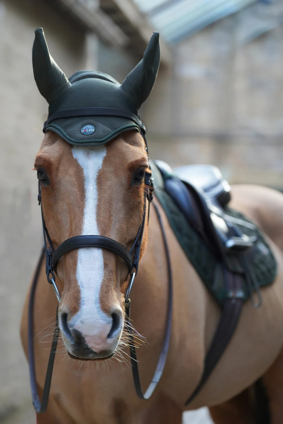 Hunter green airflow fly veil / ear bonnet