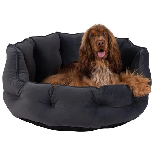 Monarch dog bed