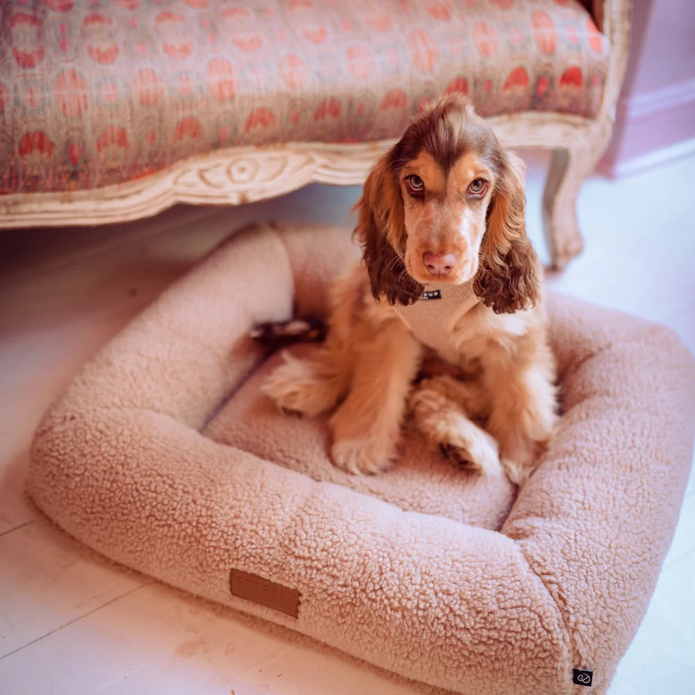 Cocopup x pup kit dog bed