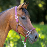 USG Dublin Headcollar