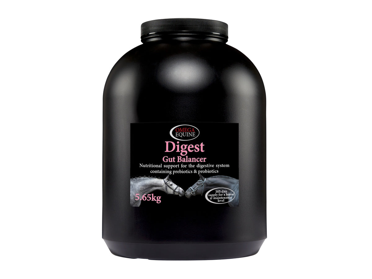 Omega digest gut balancer