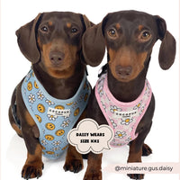 Daisy gingham adjustable neck harness