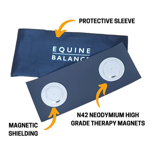 Magnetic Therapy Boots for Horses