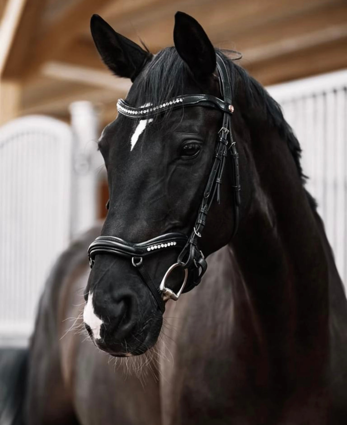 Kieffer ultrasoft® bridle - Luna