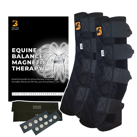 Equine therapy boots best sale