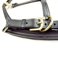 Ascot padded leather head collar