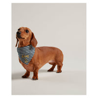 Joules Nautical Collar & Neckerchief