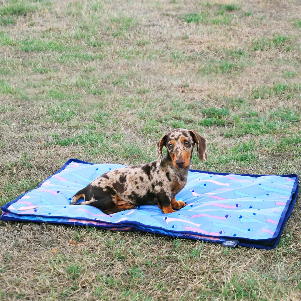 Benji & Flo dorris the dachshund dog bed