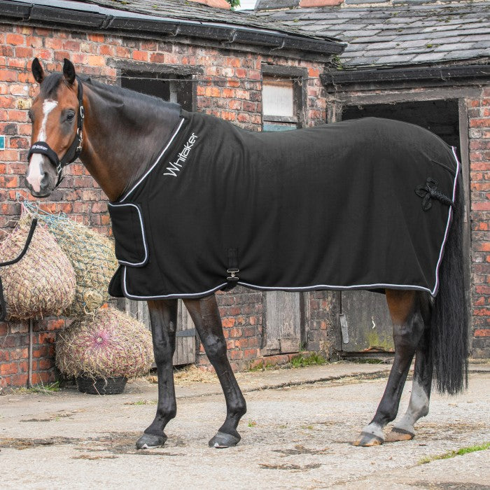 Club Show Rug with Luxury Fluffy Lining in Black