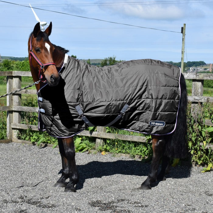 Crompton 100g Stable Rug