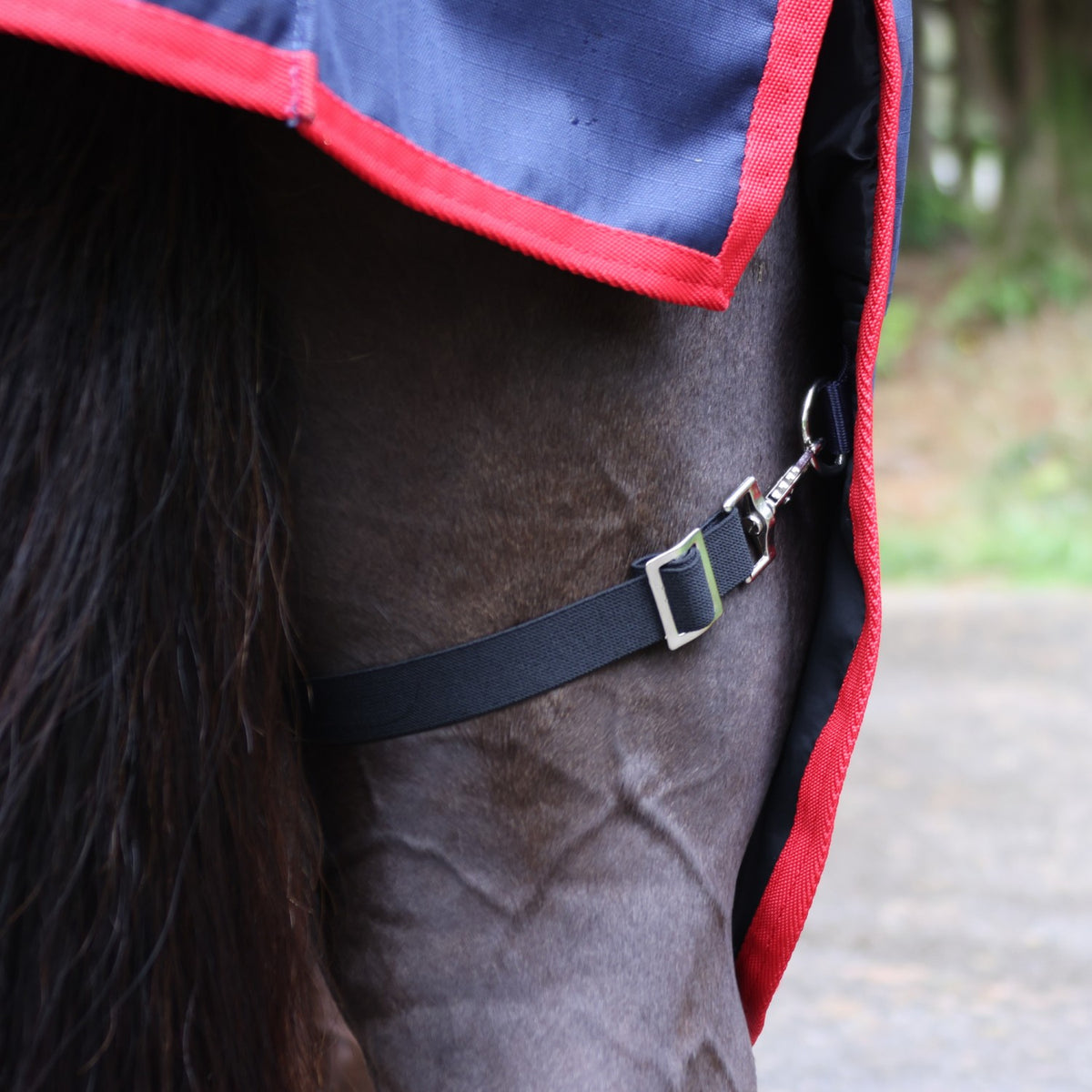 Rastrick V2 250g Combo Turnout Rug