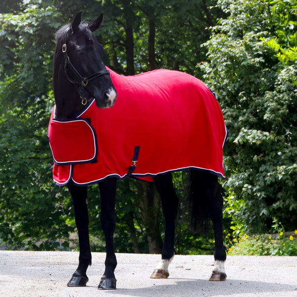 Club Show Rug with Luxury Fluffy Lining in Black