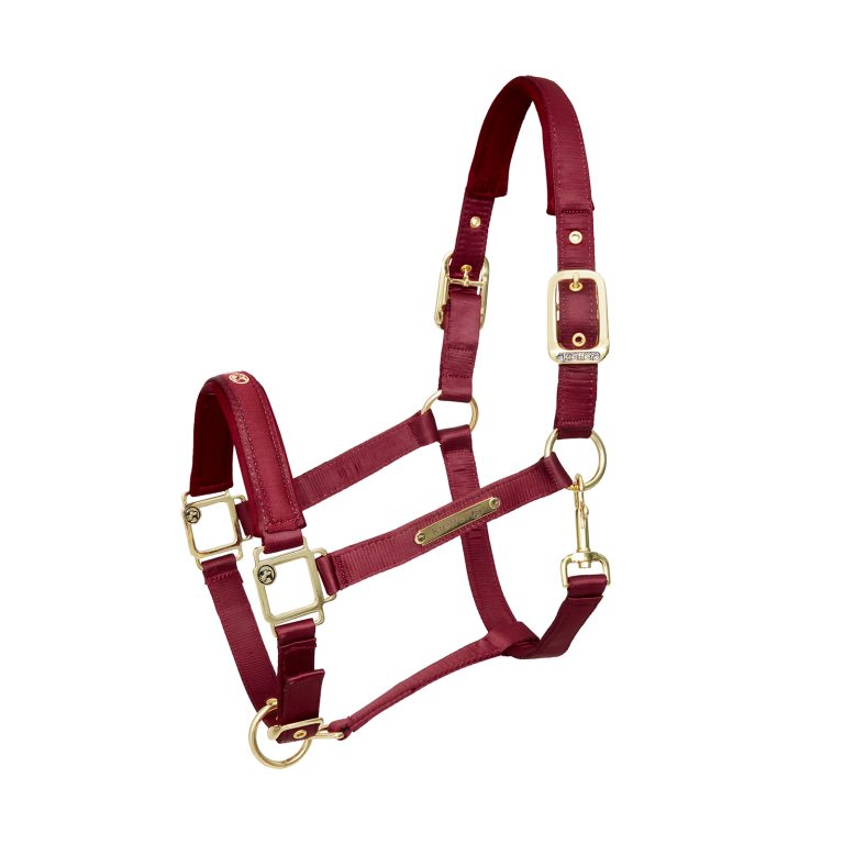 Kieffer Satin Shine Headcollar