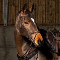 Valencia Super Deluxe Flash Bridle with Reins