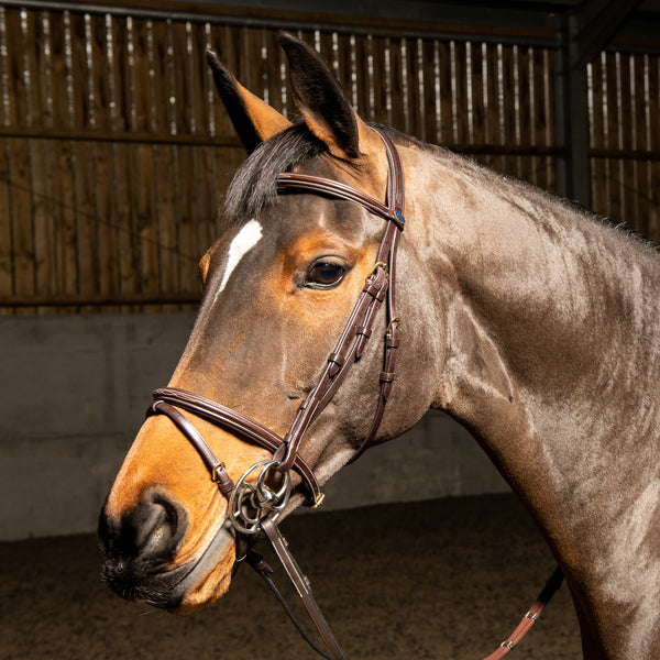 Valencia Super Deluxe Flash Bridle with Reins