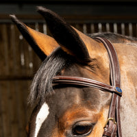 Valencia Super Deluxe Flash Bridle with Reins