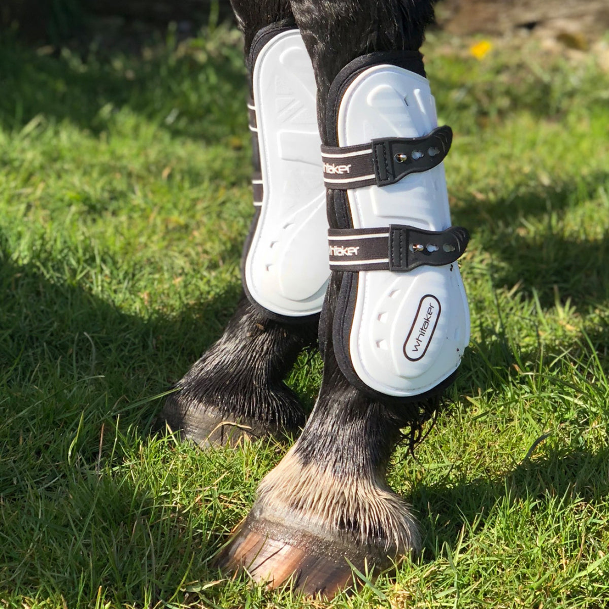 Bingley tendon & fetlock boots - set of 4