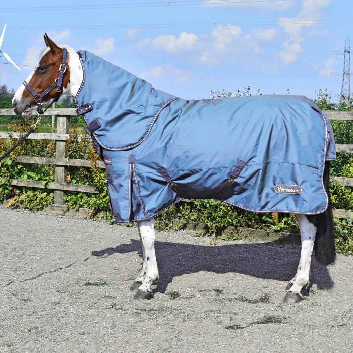 Lupin 250g 800D Combo Turnout Rug with Detachable Hood