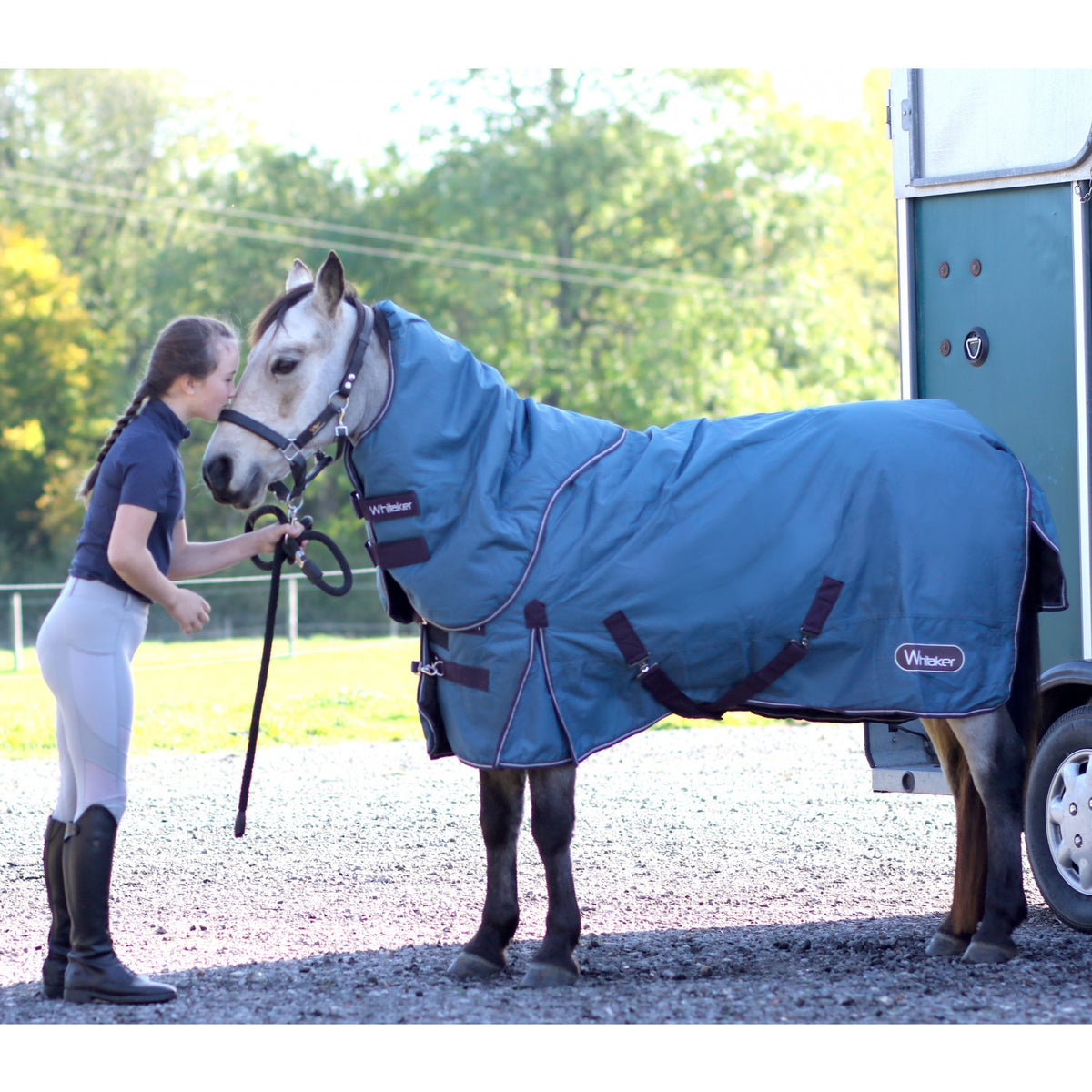 Lupin 250g 800D Combo Turnout Rug with Detachable Hood